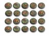 Woodland Bases - 30mm RL DEAL