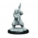 Critical Role Miniatures: W1 Dwarf Dendalian Empire Fighter Fema