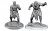 D&D Nolzurs Marvelous Minis W17 Flesh Golems MOQ2