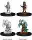 Pathfinder Deep Cuts Miniatures W9 Male Gnome Sorcerer (MOQ2)