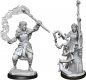 D&D Nolzurs Marvelous Miniatures W13 Firbolg Druid Female (MOQ2)