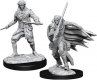 Pathfinder Deep Cuts Miniatures W10 Male Elf Rogue (MOQ2)