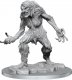 D&D Nolzurs Marvelous Miniatures W16 Ice Troll Female (MOQ2)