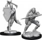 Dungeons & Dragons Nolzur`s Marvelous Unpainted Miniatures W13 W