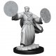 Critical Role Miniatures: W1 Human Graviturgy and Chronurgy Wiza